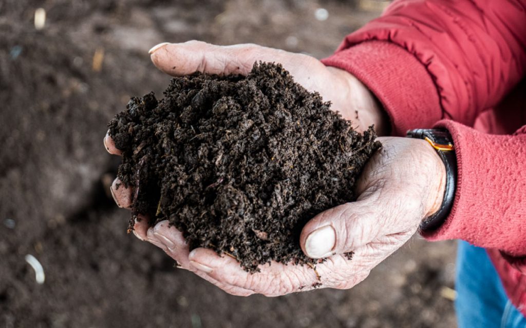 Ganadería sostenible de pequeños productores de leche en la Zona con Función Amortiguadora del Santuario de Flora y Fauna Galeras