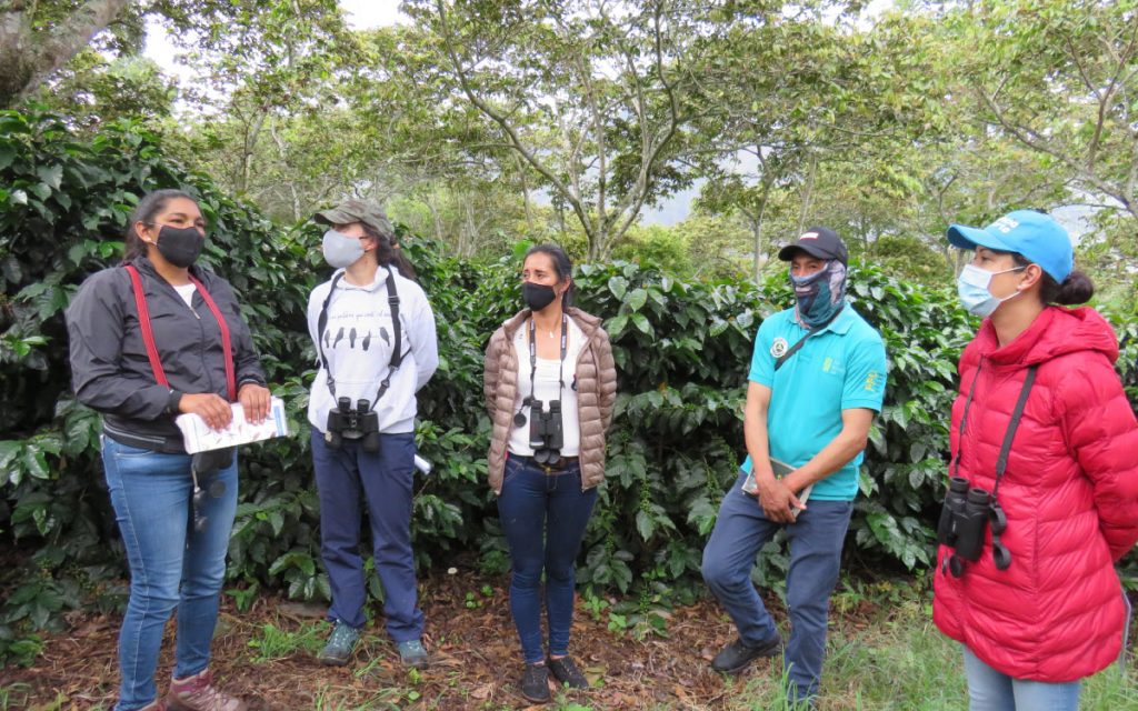 Restaurando y pajareando alrededor del Galeras: Experiencia de mujeres cafeteras para la conservación de las aves.