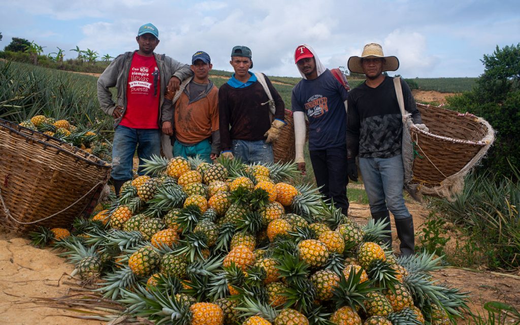 “Jornaleando la fibra de piña”. Para el desarrollo, transformación social y económica de las comunidades