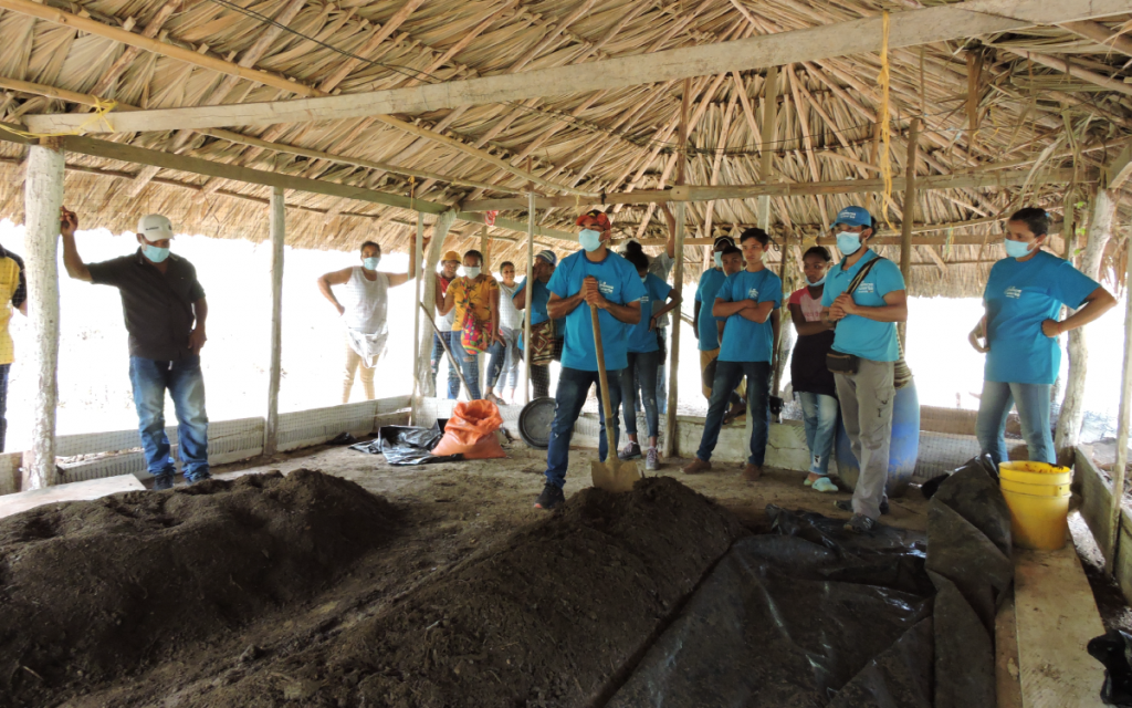 Producción de abono orgánico a través de la transformación de residuos de cosecha originados por los cultivos implementados por productores de Plátano