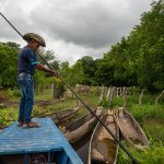 Vivir mejor con la ciénaga: fomentando bienestar humano y ambiental en la ciénaga la Rinconada, Magdalena