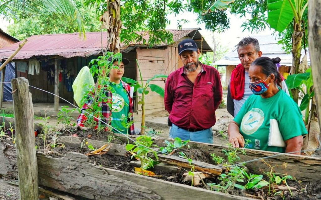 Agroecología Y Bosques Análogos Productivos Como Recurso Para La ...