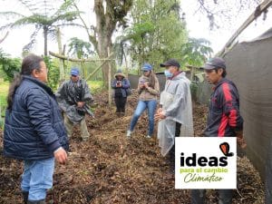 Alternativa para el secado de granos del sistema productivo fríjol voluble-maíz del municipio de Sibundoy-Putumayo