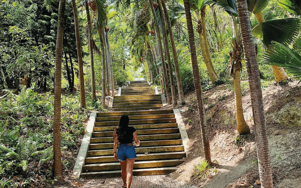 Jardín Botánico de la UNIVERSIDAD NACIONAL DE COLOMBIA-Sede Caribe